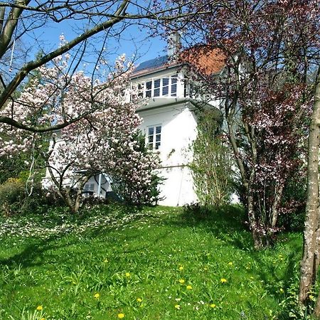 Ferienwohnung Dausacker 우팅 암 아메르제 외부 사진